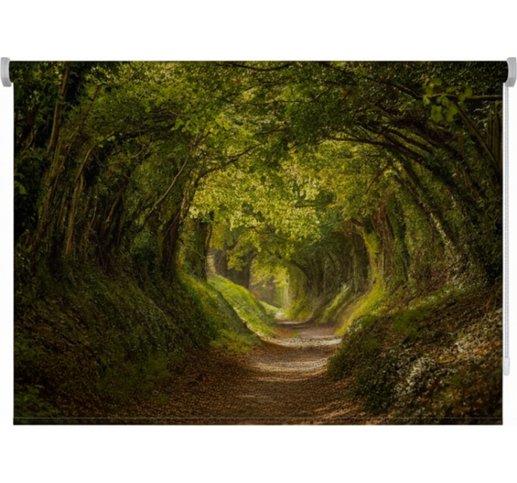 有树的百叶窗在绿色英伦小径上 - TenStickers