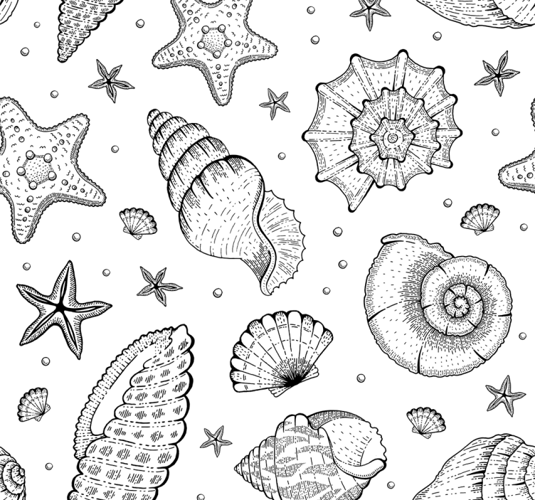 办公室百叶窗海洋生物与贝壳黑白款 - TenStickers