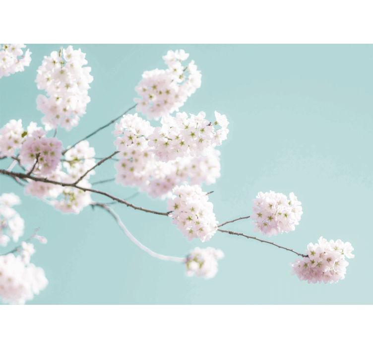 厨房盲道优雅女性白花设计 - TenStickers