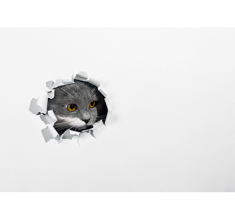 白盲可爱猫咪产品推荐 - TenStickers