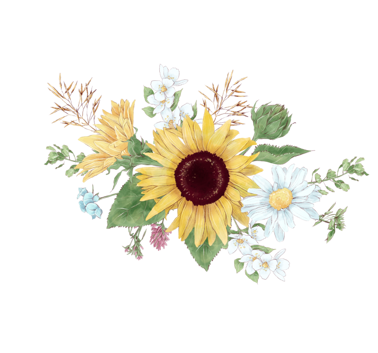 白盲向日葵与雏菊花 - TenStickers