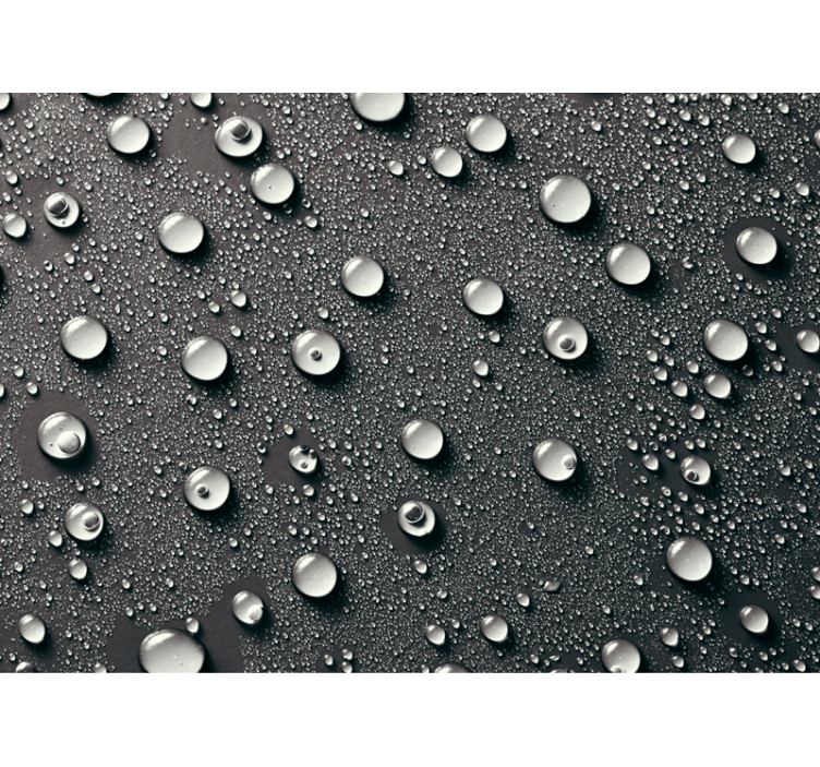 黑瞎子灰色浴室背景墙壁画带水泡 - TenStickers