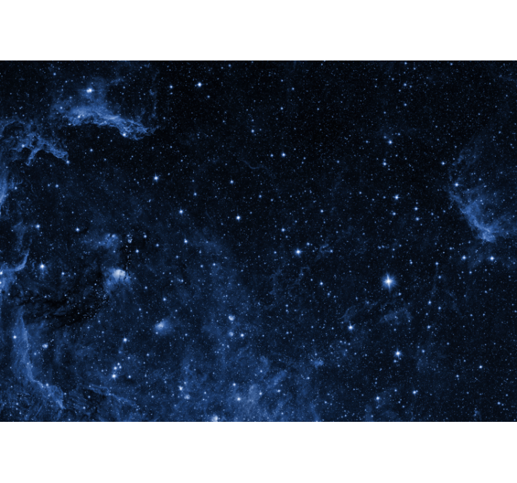 黑瞎子星空壁画卧室与星座 - TenStickers