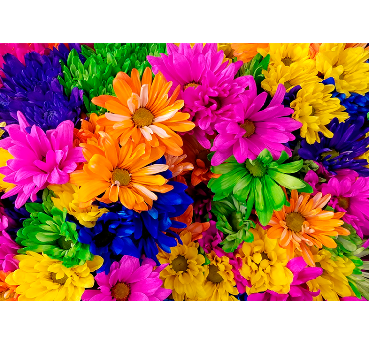 起居室盲道五彩缤纷的菊花 - TenStickers