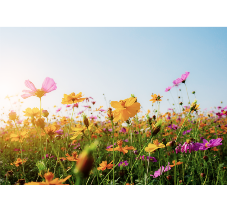 起居室盲道多种花卉组合 - TenStickers