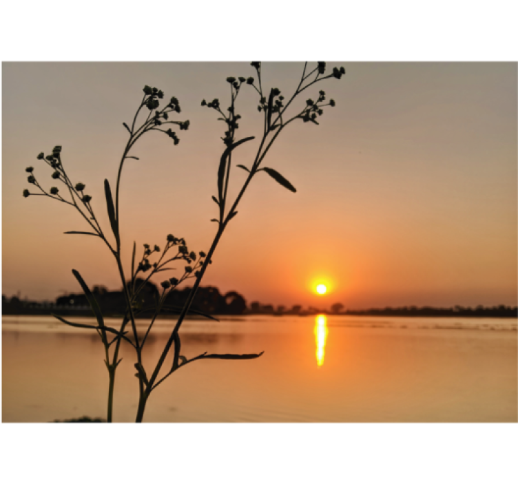 起居室盲道湖畔夕阳 - TenStickers