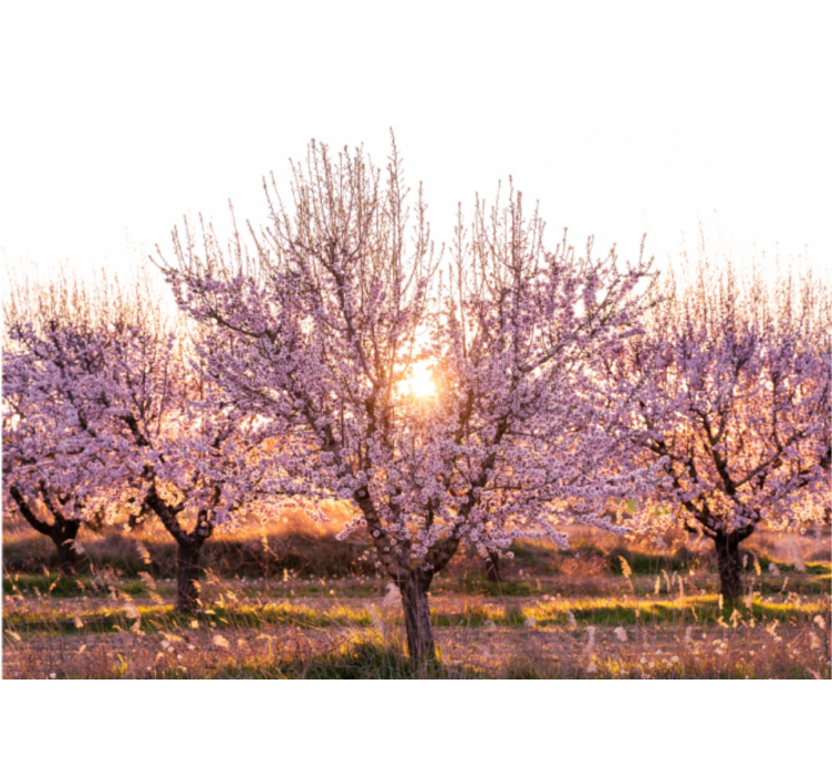 起居室盲道粉色花卉景观 - TenStickers