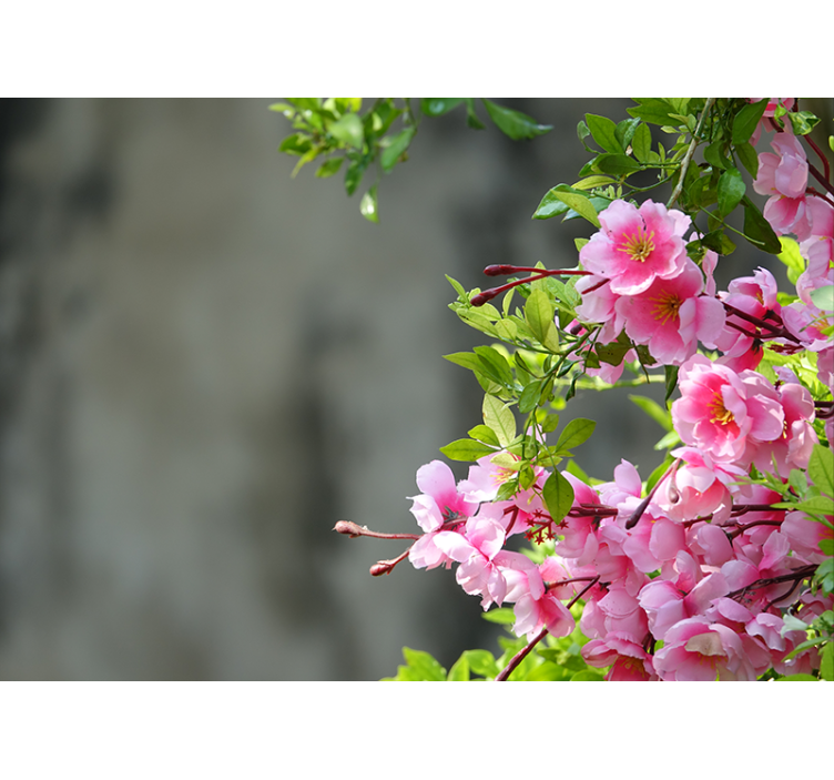 起居室盲道粉色花朵3d设计 - TenStickers