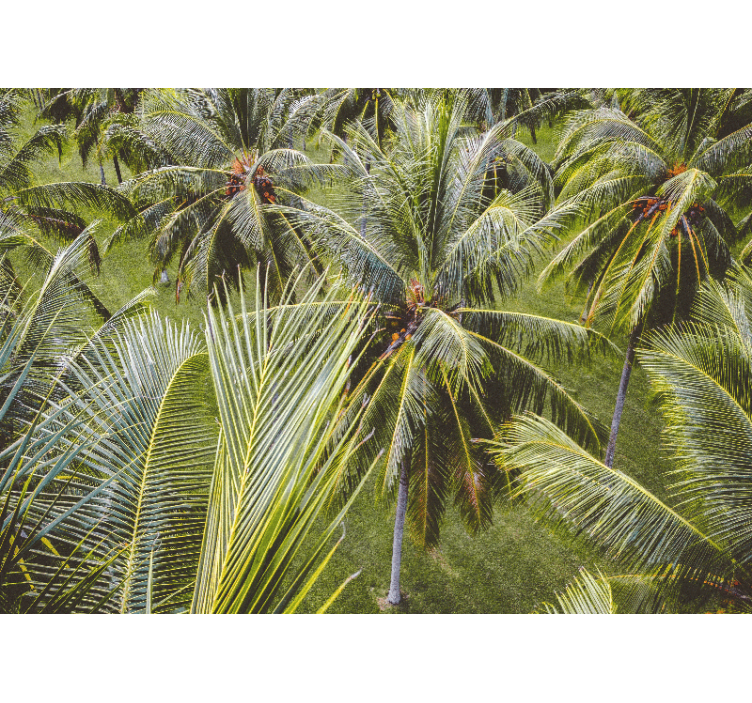 起居室盲道绿色棕榈树森林风景 - TenStickers