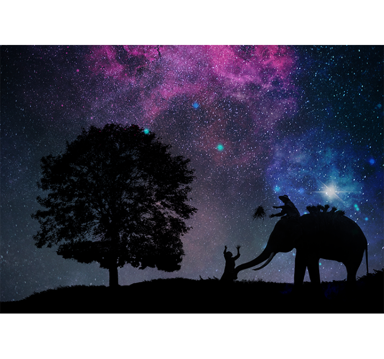 起居室盲道星空之夜大象 - TenStickers