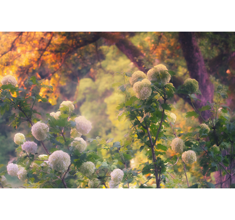 起居室盲道乡村晨曦 - TenStickers