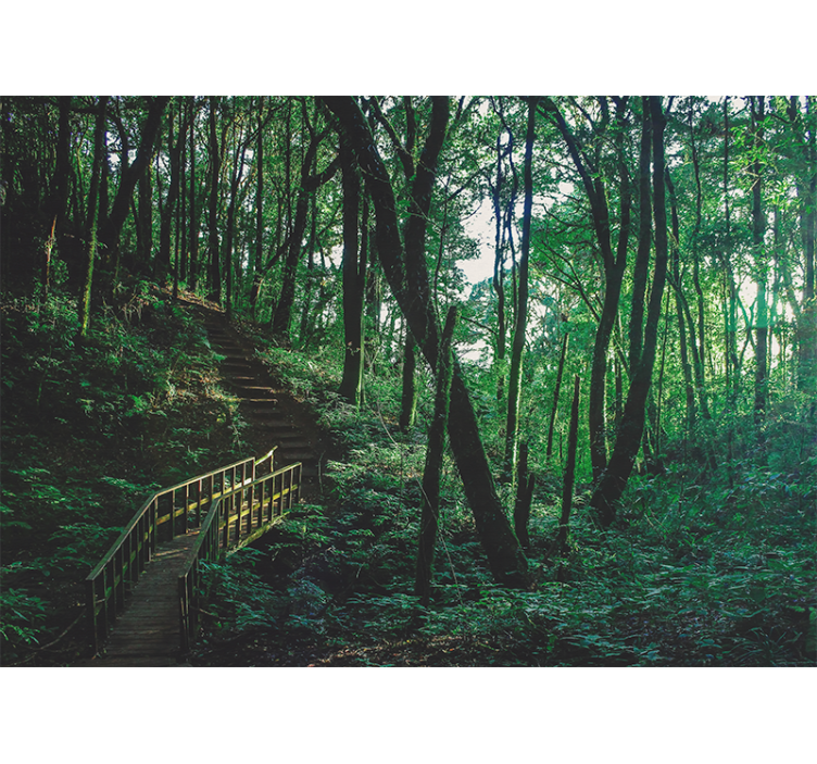 起居室盲道美丽的绿色树木风景 - TenStickers