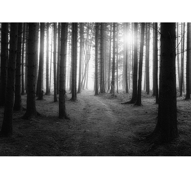 灰色盲人迷 enchanted forest - TenStickers