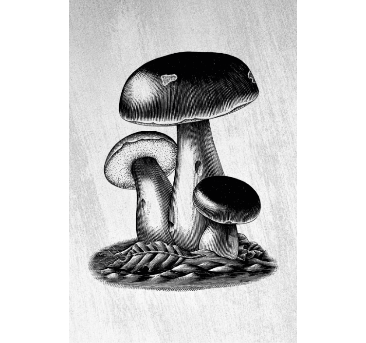 盲人花草展现蘑菇优雅之美 - TenStickers