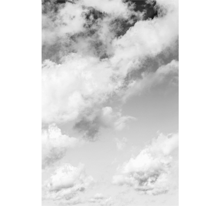 云雾缭绕的盲人云雾天空视野 - TenStickers