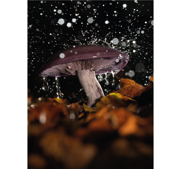 雨卷簾画下的野蘑菇 - TenStickers