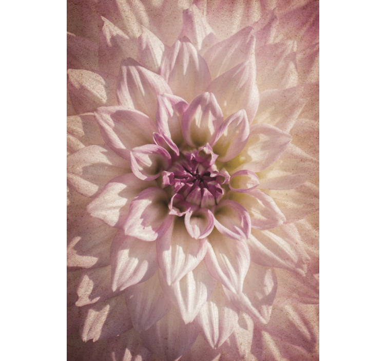 盲人花草绽放细腻花朵 - TenStickers