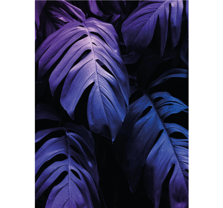 盲人花草美味 monstera 叶片 - TenStickers