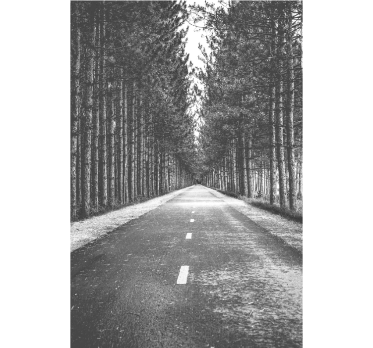 其他百叶窗宁静森林小径 - TenStickers