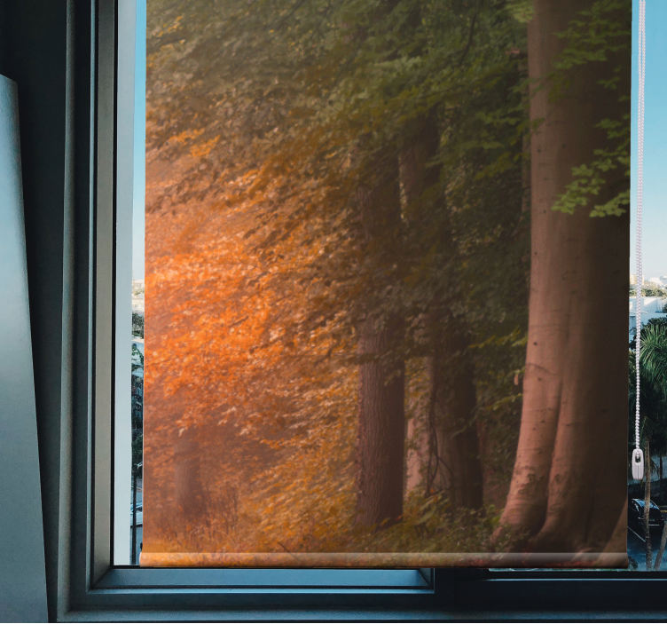 深奇幻森林原创卷帘 - TenStickers