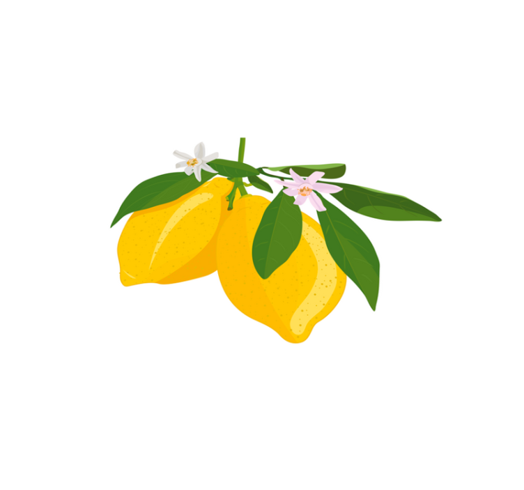 乙烯基餐垫原版柠檬树枝插图 - TenStickers