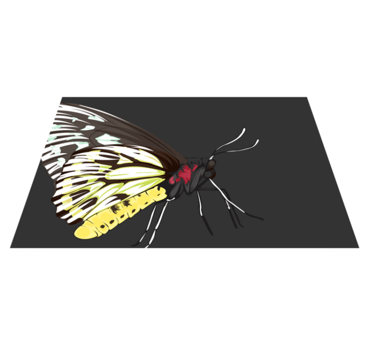 乙烯基餐垫原版彩色蝴蝶插图 - TenStickers