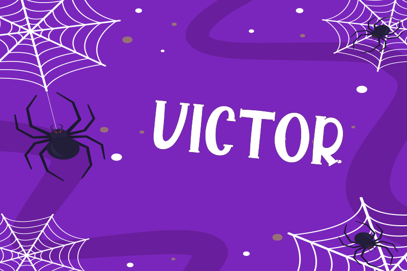 餐垫营造惊悚的蜘蛛网氛围 - TenStickers