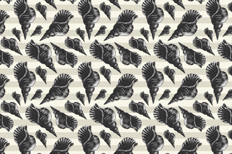 乙烯基餐垫优雅贝壳图案 - TenStickers
