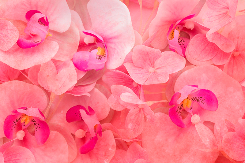 乙烯基餐垫贴图优雅绽放组合 - TenStickers