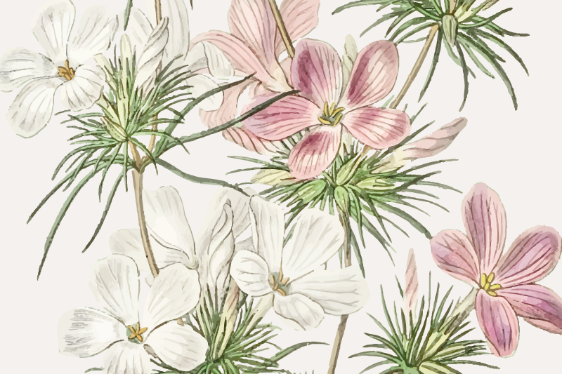 乙烯基餐垫原版花卉植物装饰 - TenStickers