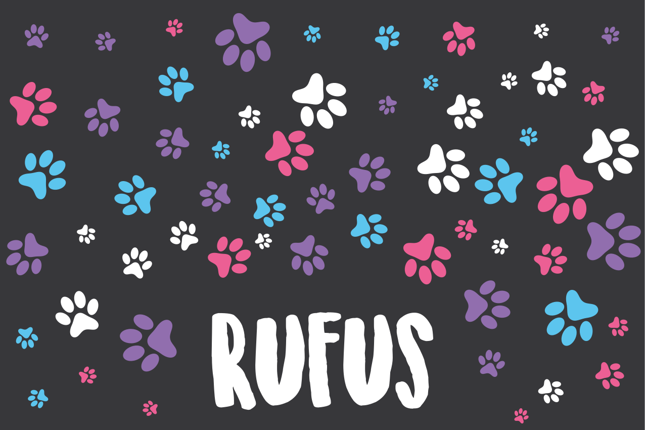 乙烯基儿童餐垫 彩色爪印 - TenStickers