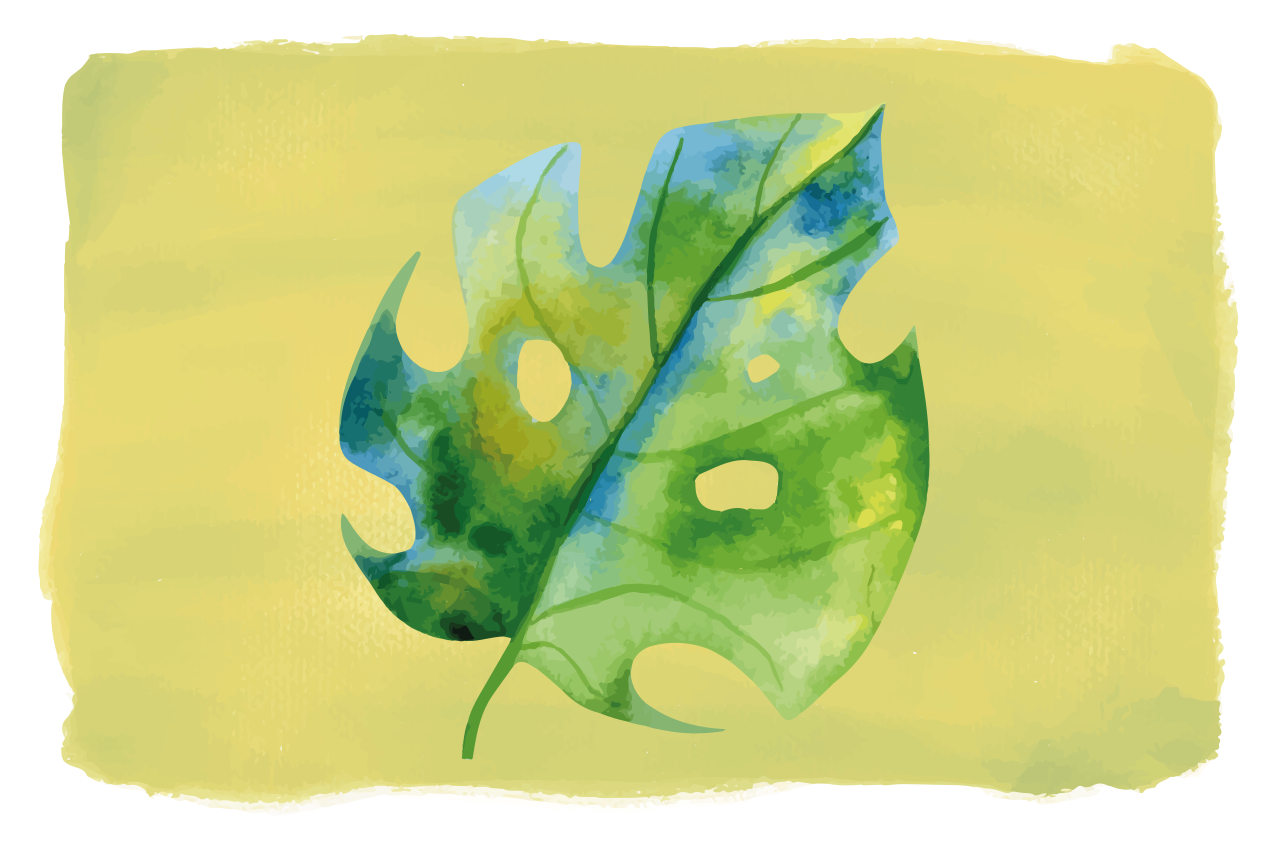 乙烯基餐垫原版 monstera叶子设计 - TenStickers