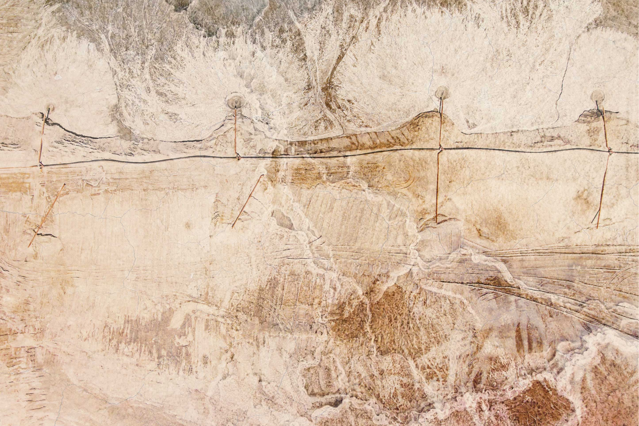 乙烯基餐垫贴图有机木材效果 - TenStickers