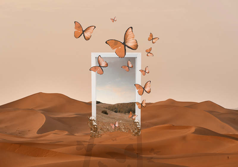 乙烯基餐垫原版 蝴蝶绽放框架 - TenStickers