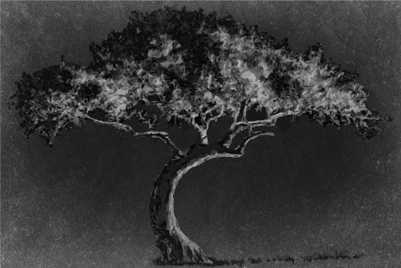 乙烯基餐垫贴图艺术树轮廓 - TenStickers