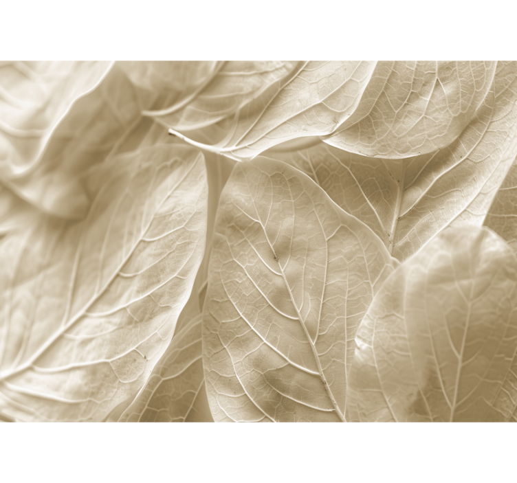 双人房的其他壁画 大米色叶子 - TenStickers