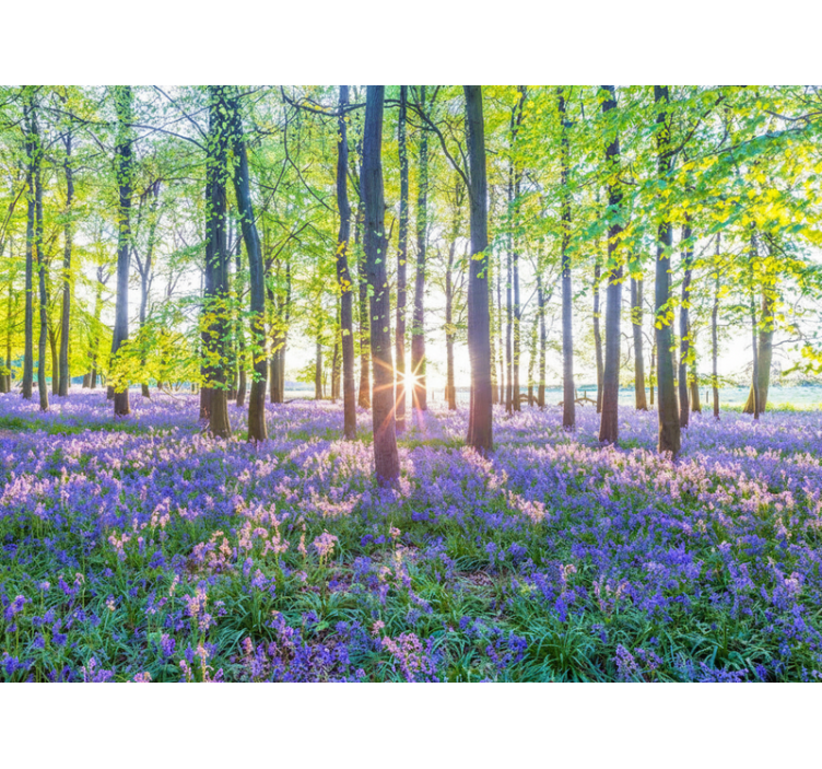 森林照片墙展现自然灵感现代主义 - TenStickers