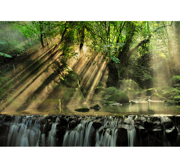 森林照片墙 阳光森林瀑布 - TenStickers