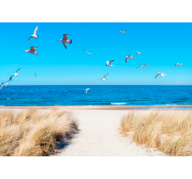 海洋的照片壁画 海边的宁静 - TenStickers