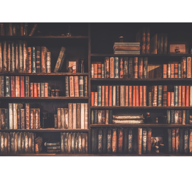 墙面壁画的爱的风格经典书籍系列 - TenStickers