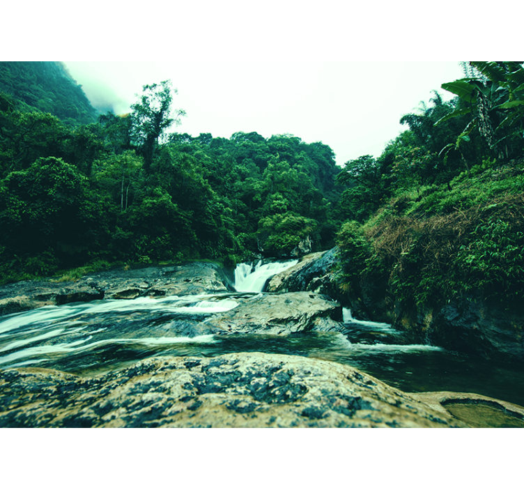 卡乔伊拉照片墙宁静绿色场景 - TenStickers