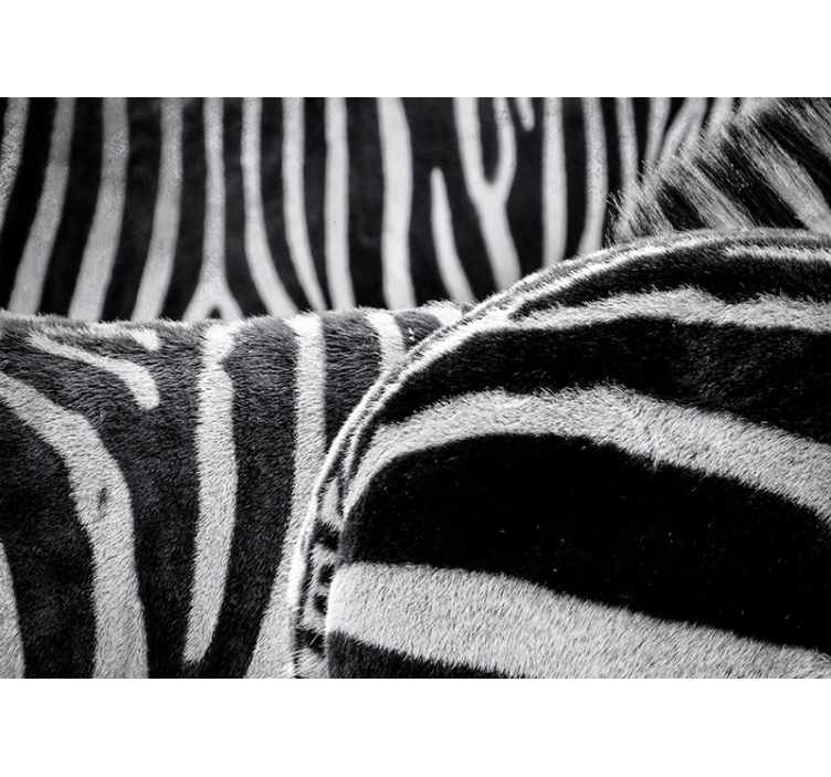 动物风格的墙面壁画真实斑马条纹 - TenStickers