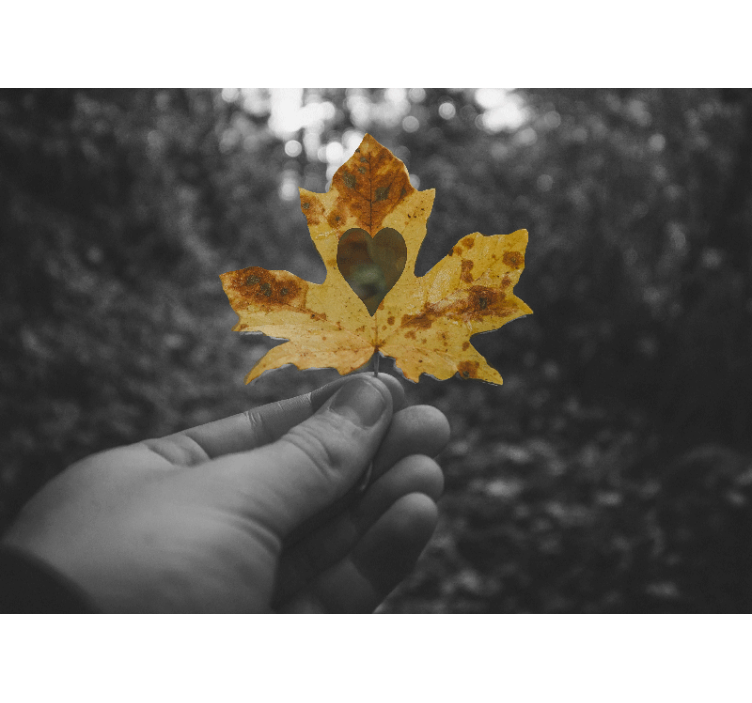 自然照片墙 心形叶子 - TenStickers