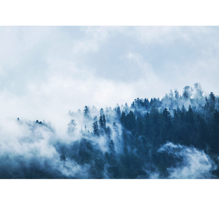 自然照片墙展现森林雾霭景观 - TenStickers