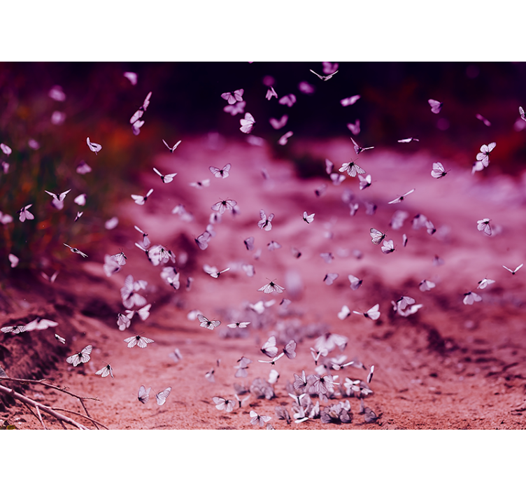 花卉照片墙 轻柔的蝴蝶舞 - TenStickers