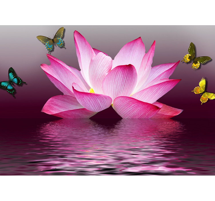 花卉照片墙莲花绽放的宁静 - TenStickers
