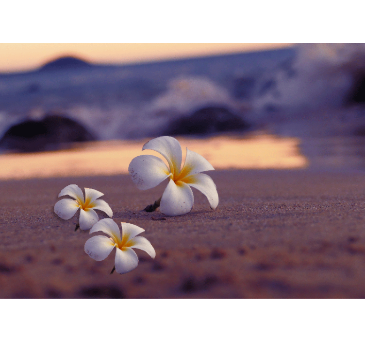 罂粟花风格的墙面壁画热带花卉三重奏 - TenStickers