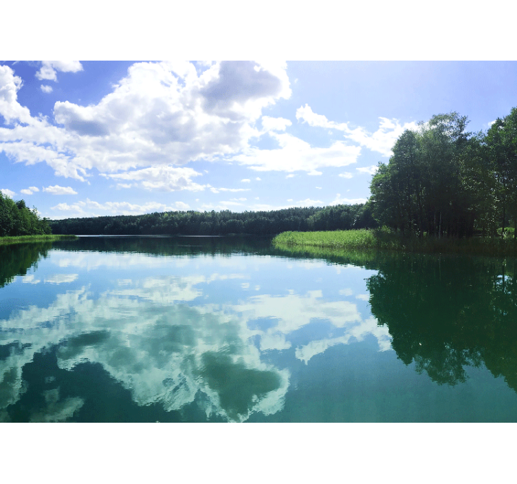 池塘照片墙宁静的倒影 - TenStickers