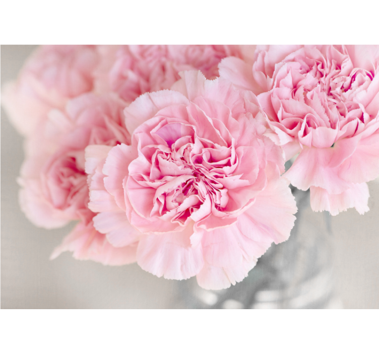 花卉照片墙展示可爱粉色花朵 - TenStickers