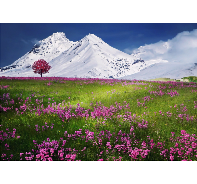 自然照片墙雪山绽放 - TenStickers